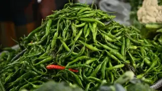 Govt allowed import of green chillies, price may come down in 2-5 days