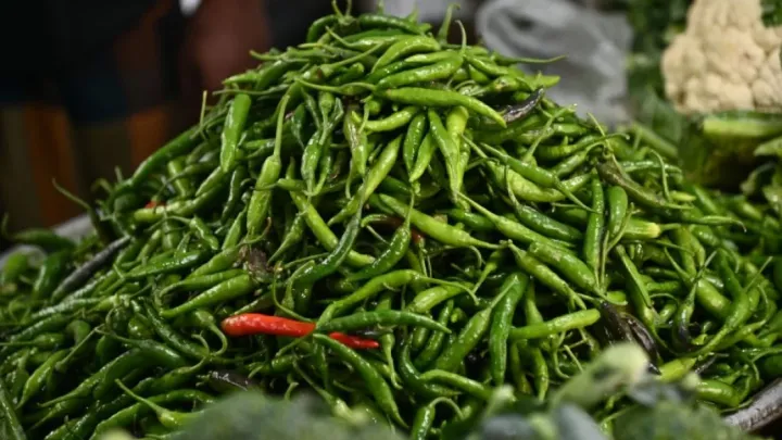 Govt allowed import of green chillies, price may come down in 2-5 days