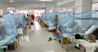 One more death due to dengue, 242 hospitalized in 24 hours