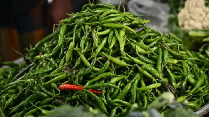 Due to the rain, 200 taka per kilo of raw pepper is being sold somewhere for 280 taka!