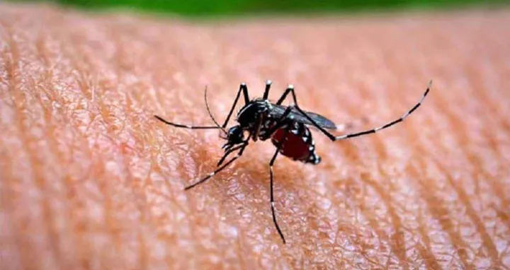 2 more people died of dengue in 24 hours, 423 hospitalized